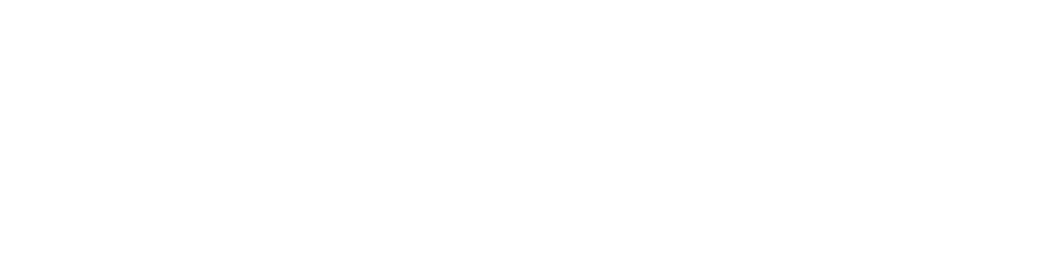 RENOWIKINGER